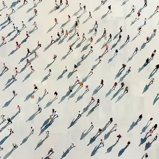 电脑边放什么草好