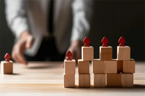 电脑上做软件叫什么